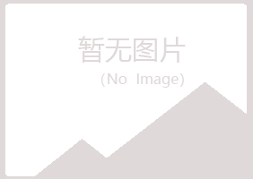 清河区夏岚批发有限公司